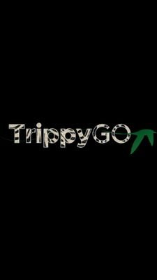 Leading a successful Team @Trippygotours