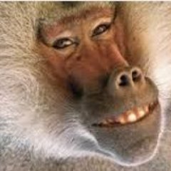 MaxineCompany's profile picture. 