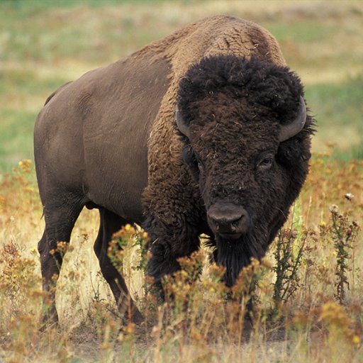 RRGSC's profile picture. RRGSC is a regional Graduate Student Conference that is held each spring in Beautiful Fargo, ND.