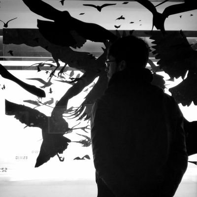 dalvarez1404's profile picture. Esto mejor que lo completen mis nietos...