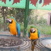 sankar (@sankar7004) 's Twitter Profile