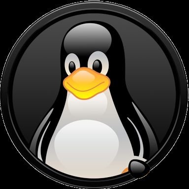 Programmer, Tech enthusiast,  Geek, IoT