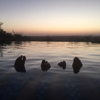 Julie Bertrand (@julieeeebe) 's Twitter Profile