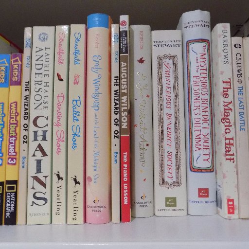 booksnblingblog's profile picture. ya #bookblogger • ravenclaw • infp • teen • lover of ya and glitter