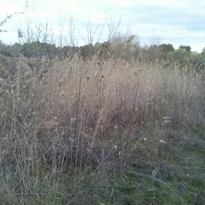 Pitu_29's profile picture. Casada