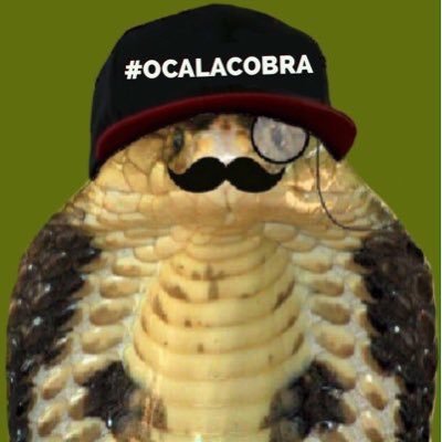 Hi, I'm a two-foot long monocled cobra and I just escaped captivity. I'm free for the first time in my life & I just found this iPhone, so why not tweet?