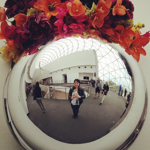 stephawesome's profile picture. I do things. The current thing is @AfterSpringFilm