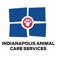 Animal Care Services(@INDYACS) 's Twitter Profile Photo