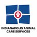 Animal Care Services (@INDYACS) Twitter profile photo