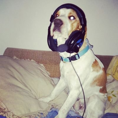 15Davidvivas's profile picture. 08~11~19
🐶RaSh🐶
Amante de los chuchos
🇪🇦~🇨🇴