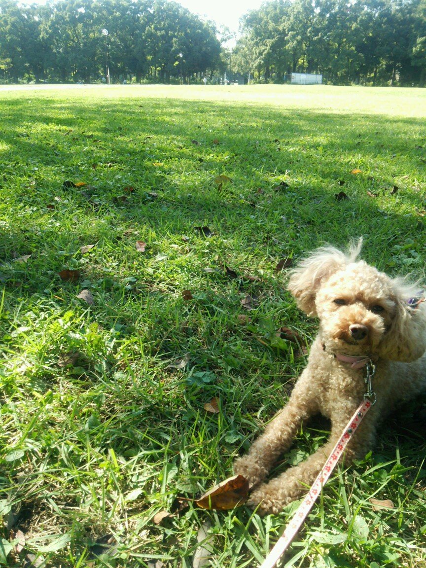 saki_lala07's profile picture. 