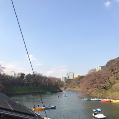 千代田区の千鳥ヶ淵ボート場です。🚣営業時間、１0時〜１7時0０分。
チケット販売終了は３０分前。定休日は月曜日。月曜日が休日の場合は翌火曜日になります。
※雨天や強風の場合は、営業を見合わせることがあります。