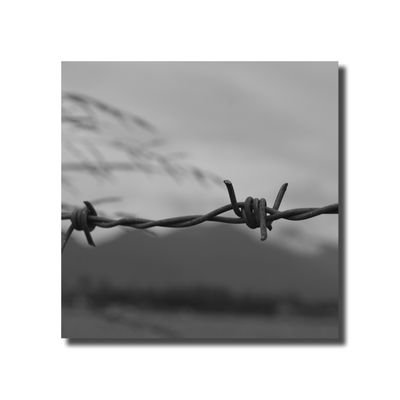 MrMaztra's profile picture. Olahraga Atlit Hiburan Musik