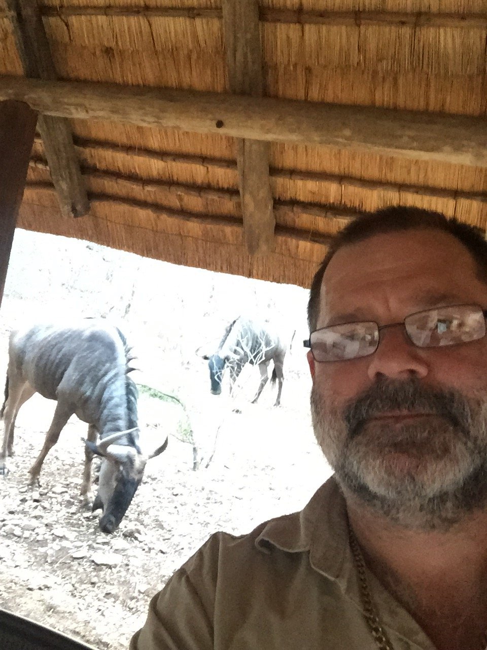 Mark Judson Sandgren Profile