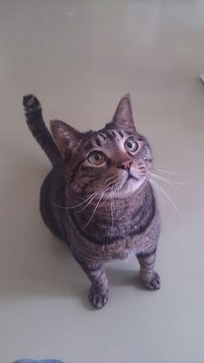 popo0102's profile picture. 