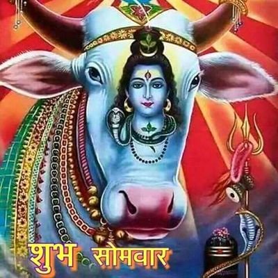 JalodiaKumar's profile picture. 