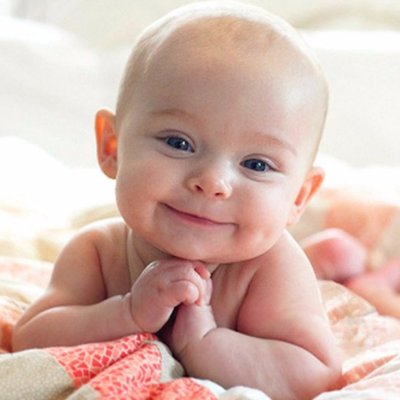 世界中の 可愛い を集めたよ Gets Kawaii Twitter