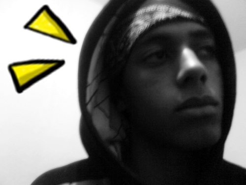 renanhonorio's profile picture. 