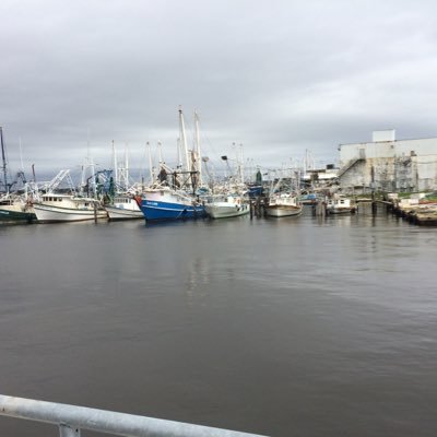 bird81073's profile picture. Fr