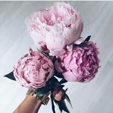 instagram: singleyspeony

Join Influenster: https://t.co/lE1WgNmE3C