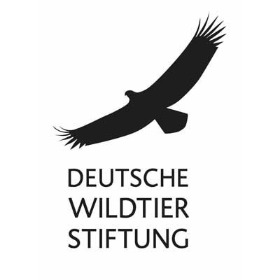 Deutschlands wilde Tiere schützen, ihre Lebensräume erhalten und Menschen für Wildtiere begeistern: Dafür setzt sich die Deutsche Wildtier Stiftung ein.