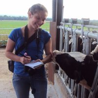 Pauline Loiseau (@loiseau_pauline) 's Twitter Profile Photo