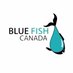 Blue Fish News Profile Image