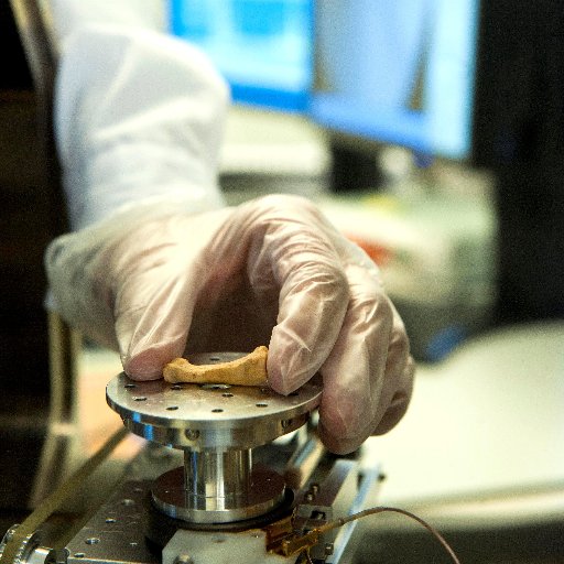 Laboratorios del Centro Nacional de Investigación sobre la Evolución Humana de Burgos que forma parte de la red de ICTS española.