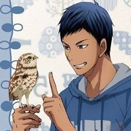 チコさんのプロフィール画像