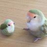 isfpedia's profile picture. Feathers ever so slight yet no flight has been missedーwait for the current. Protestant who loves psych #hsp #hss No longer a new age theorist here, I'm renewed!
