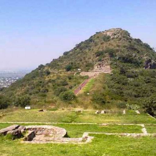 DGGRXITEXCOCO1's profile picture. 