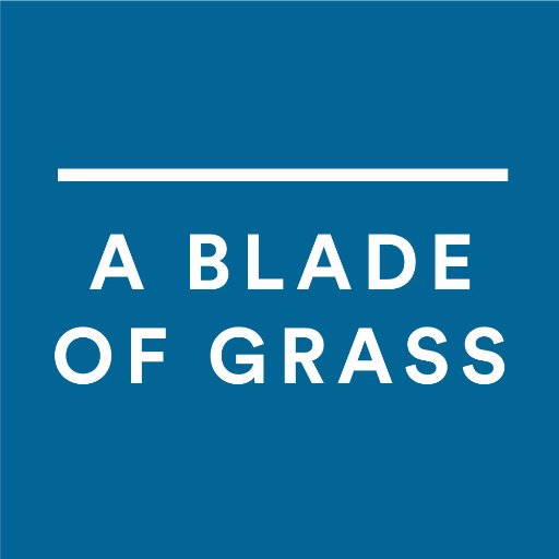 abladeofgrass Profile Picture