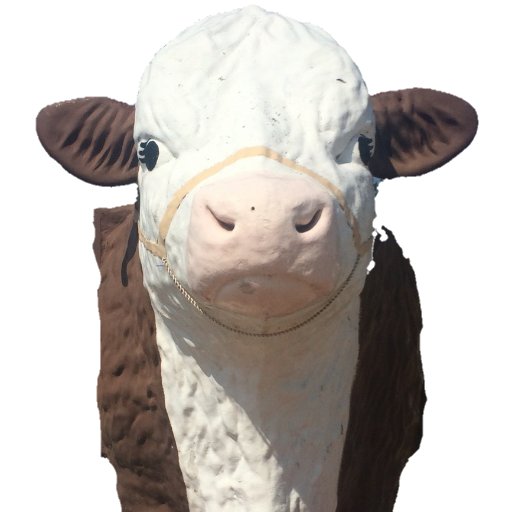 seedcattleguy Profile Picture