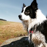 simon2211 (@simon2211) 's Twitter Profile