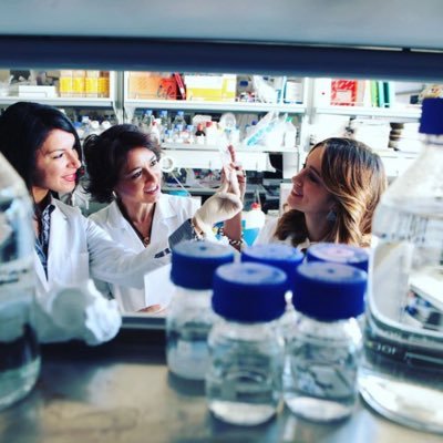 KronosDna's profile picture. healthcare spin off of University of Naples FII