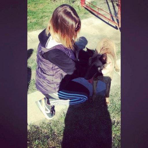 ❤Hungary❤️   ❤Maya ❤🐶🐕 16'06.25-17'03.20😢❤