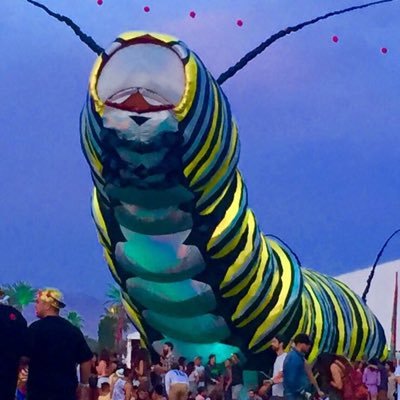 indybrendyca's profile picture. Just wish everyone would get along!