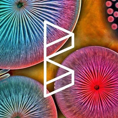 Acercándote a tus eventos favoritos. ¿Buscas gente como tú que necesita boletos o quieres vender los que te sobraron? ¡Nosotros te ayudamos con un RT!