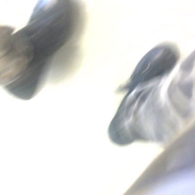 Artemisarcher27's profile picture. Im awkward and adventurous and usually hyperactive me and my friends got a YouTube channel go check it out link below /my snap is bregar27 add me😜🤘🏻👌🏻😁