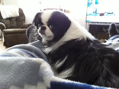 Lizzyw81818900's profile picture. Mom, wife, Gram, and sister.  And 3 fur babies