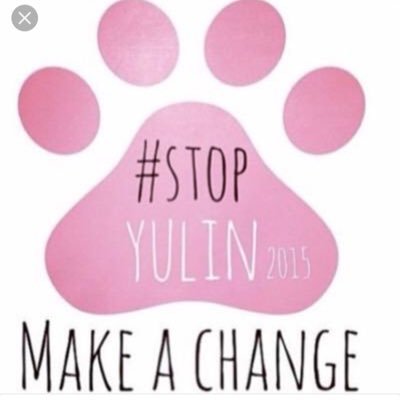 STOP YULIN !!