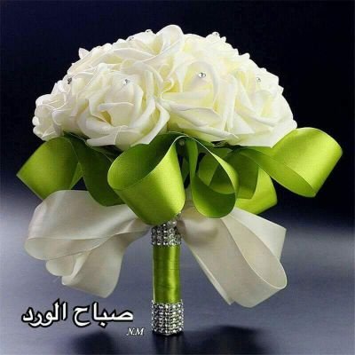 husein17161 Profile Picture