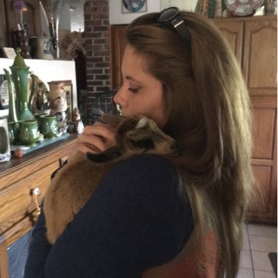 themamacardinal's profile picture. 