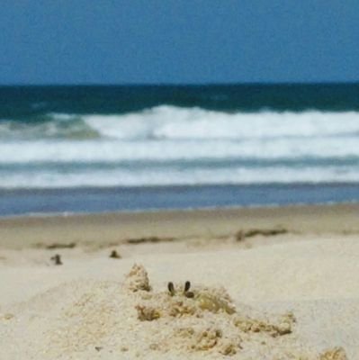 jacydeb's profile picture. Passionate about Early Years and promoting the importance of early language. Love wandering around artisan markets finding handmade gifts.