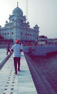 rishikmalik's profile picture. 