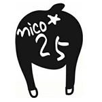 nico25stime Profile Picture