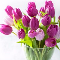 Joenie (@jonsnowgothum) 's Twitter Profile