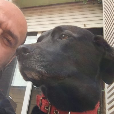 aipacifico's profile picture. 