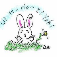 お天気コアラ所沢 (@otenkikoala) 's Twitter Profile Photo