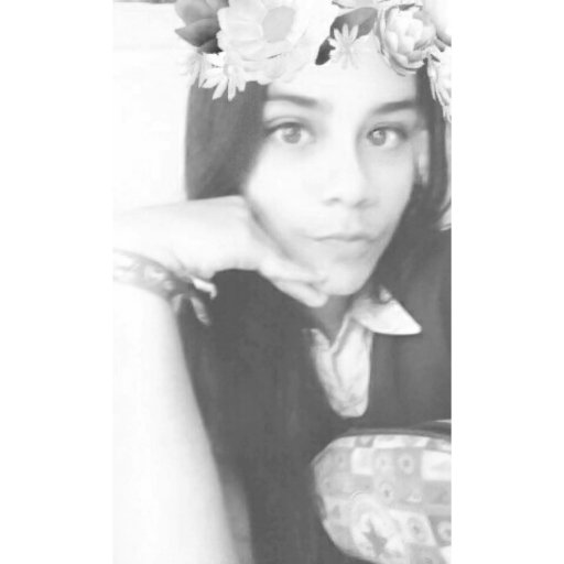 13 Years🎈. Venezolana/Gocha❤.
Martin Garrix➕✖.